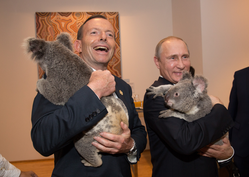 Illustration for article titled Stray Cats Invade the G20 Summit, Bold as Can Be